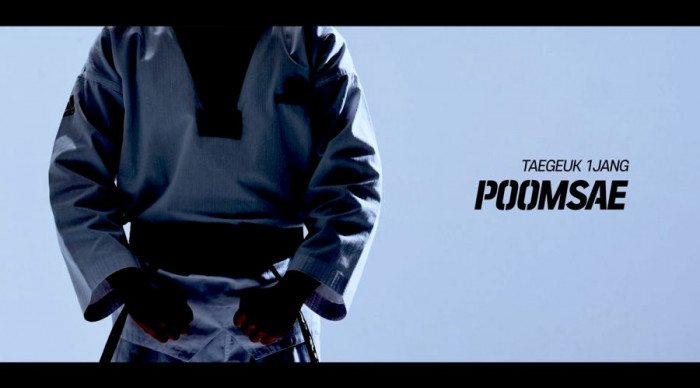 Taeguk 1