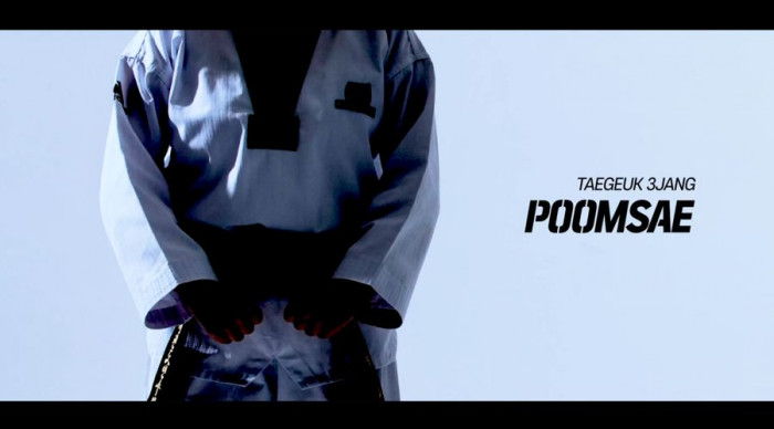 Taeguk 3