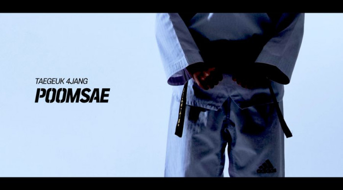 Taeguk 4