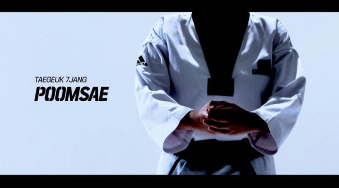 Taeguk 7